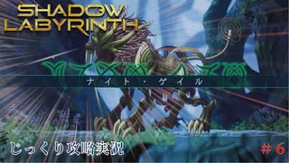 【SHADOW LABYRINTH】第6回　大樹を抜けろ　じっくり攻略実況　シャドウラビリンス