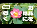 【Vlog】お花を見に行く