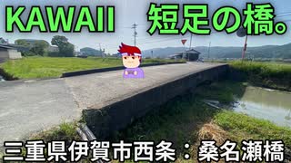 橋梁マンチカン編。【バーチャルいいゲーマー佳作選】