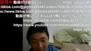 カマキリ『悩み事多すぎる』2025/7/21