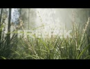grass flower field with soft sunlight for background.