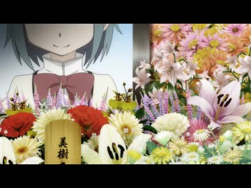 魔法少女まどか☆マギカ　第11話　最後に残った道しるべ