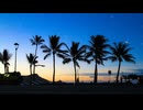 JAZZ CAFE　 in hawai