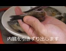 ブルーギル釣って食ってみた