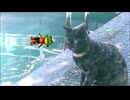 サビ猫と河童の川流れ