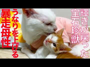 輝きを取り戻す宝石、うなりを上げる暴走母性