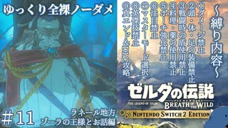 『9種の縛りプレイ＃11』ノーダメージでドレファン王への謁見を許される全裸リンク【ゼルダの伝説ブレスオブザワイルドswitch２エディション/ゆっくり実況】