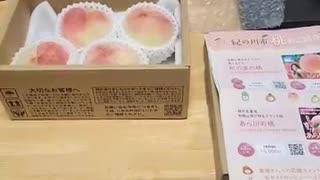 ふるさと納税、和歌山の桃～♪