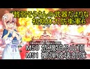 貧弱そらさんの初期体力地球防衛軍6　34