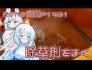 2025年7月24日　農作業日誌P1431　草原になる畑に除草剤を撒いていて、気が付くと雨が降りそう