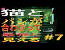 (=実況=)ネコとパンが合わさって最強に見えるCATO #7
