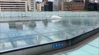りんりん　久々にオアシス21の水の宇宙船を散策してみた編【2023年8月訪問】