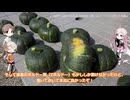 放課後家庭菜園部その２