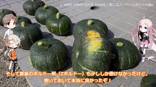 放課後家庭菜園部その２