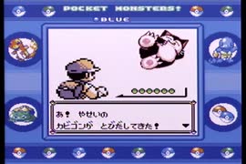 【ポケットモンスター青】殿堂入りを目指して Part17【12・13番道路】
