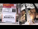ローソンのおろしポン酢で食べる鶏竜田揚げ弁当を食べました。　#ローソン #ポン酢 #竜田揚げ