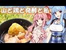 【VOICEROIDキッチン】山と食欲と琴葉姉妹　その８ 「浅間嶺：インド風本格ヨーグルトカレー」【RTA（リアル登山アタック）】