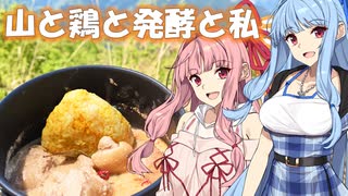 【VOICEROIDキッチン】山と食欲と琴葉姉妹　その８ 「浅間嶺：インド風本格ヨーグルトカレー」【RTA（リアル登山アタック）】