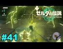 【ゆっくり実況】ティアキンぜんぶやる #41