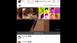 虚言の再生ミニとおてんばココとブーメラン@セルフ論破おばちゃん