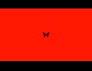 TangJuan vs Black Box - Xetta  転載