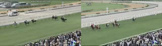 2025 マルガ (2歳新馬)ｖｓアーレムアレス (2歳新馬)