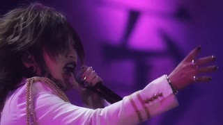the GazettE - 舐～zetsu～ 『十五周年記念公演 大日本異端芸者『暴動区 愚鈍の桜』』2017.03.10 国立代々木競技場第一体育館