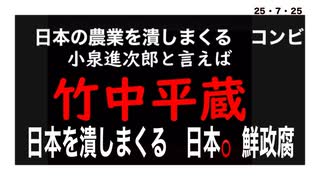 25・7・25   消費税を守る為に　売国政腐　売国政治家に　日本は潰された。
