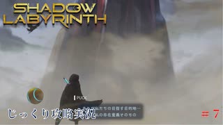 【SHADOW LABYRINTH】第7回　黒い巨塔を目指せ　じっくり攻略実況　シャドウラビリンス