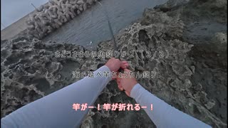 さどうささらの魚釣り#２　海の延べ竿ちょうちん釣り(2/2)