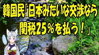 【韓国の反応】韓国「日本みたいな交渉をするくらいなら関税25％の方がマシだ！」【きょうの気になる詩。】