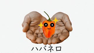 ハバネロ - 足立レイ