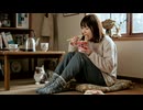 「塩対応のキミ、座布団のうえで あえてスルー」MV AI生成動画