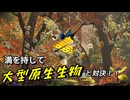 【ピクミン３】不慣れなベテラン探索者【実況】 Part19