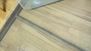 木製サッシ網戸貼替え