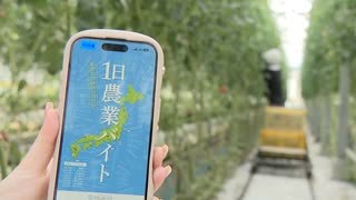 「普段は会社員です」「本職は看護師なんですよ」　スキマバイトは農業　なぜ？　休日、農園や畑に集まる人たち