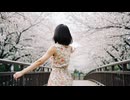 「ハルはサラ フェスティバル」MV AI生成動画