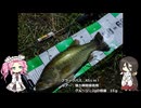 夏休みの工作気分で作るブラックバスのトップウォータールアー【VOICEROIDフィッシング】四国めたんと中国うさぎ