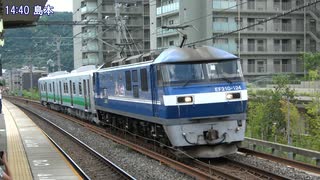 【八高線】JR東日本HB-E220系気動車甲種輸送(20250725)【行き】