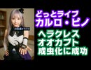 カルロ・ピノ、2年1か月育てたヘラクレスオオカブトのオスがついに成虫になったことを報告【.LIVE/どっとライブ/VTuber】