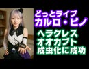 カルロ・ピノ、2年1か月育てたヘラクレスオオカブトのオスがついに成虫になったことを報告【.LIVE/どっとライブ/VTuber】