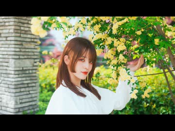 【眠井シキ】さようなら、花泥棒さん【踊ってみた】【オリジナル振付】
