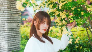 【眠井シキ】さようなら、花泥棒さん【踊ってみた】【オリジナル振付】