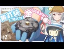 【瑠璃の宝石】 第2話 黄鉄鉱に隠された、金への手がかりを探れ！ + 金塊の成因について【双葉湊音、小春六花】