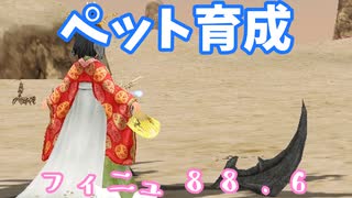 【MasterofEpic】ペット育成していきます【声実況】