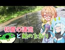 そらさんと釣りの思い出４５～初夏の清流と鮎の友釣り～