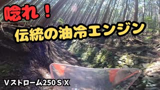 【Vストローム250SX】奈良吉野の激坂林道アタック！油冷エンジンが唸る！