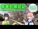 精華町探訪記 ～桜並木と地域を見つめた大木～ 【セイカフェス2025】