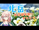 北岳にお花畑を観に来ただけ【桜乃そら誕生祭2025】