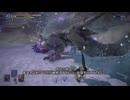 ぼっち守護者は常夜エデレノーダメ撃破の夢を見るか【ELDEN RING NIGHTREIGN】